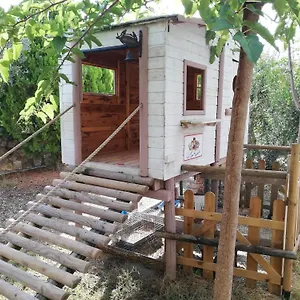 Vakantieboerderij Azienda Agrituristica Le Betulle